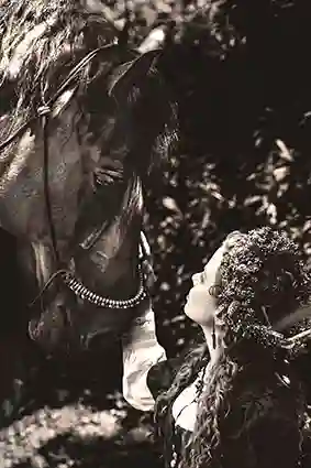 lilium_noctum und pferd